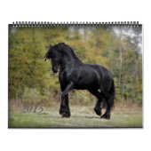 Friesian and Horse 2015 Kalender (Hoes)