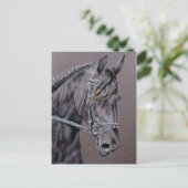 Friesian Briefkaart (Staand voorkant)