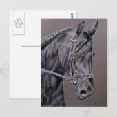 Friesian Briefkaart (Voorkant / Achterkant)