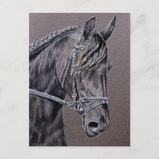 Friesian Briefkaart (Voorkant)