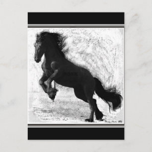 Friesian Briefkaart van de Macht, klantgericht