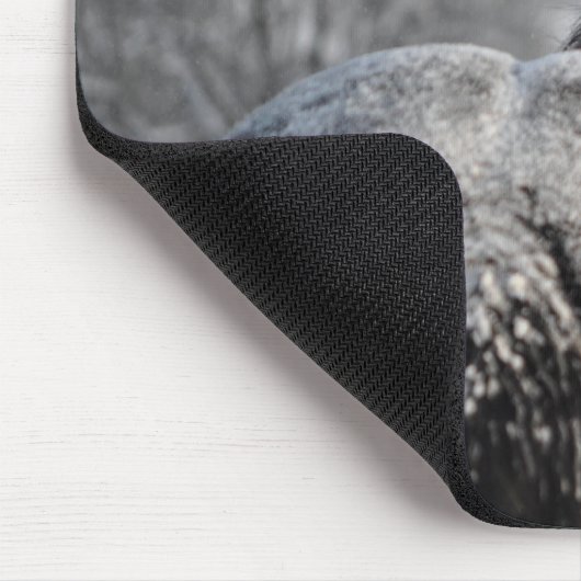 Friesian Butt, bevroren Muismat (Hoek)