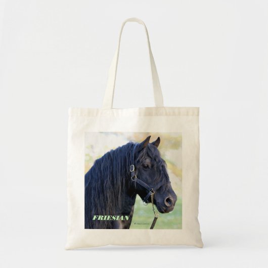 Friesian Canvas tas (Voorkant)