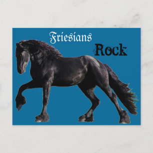 Friesian Classic Briefkaart
