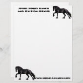 Friesian Colt Briefhoofd (Voorkant / Achterkant)