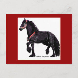 Friesian Dance Briefkaart #5