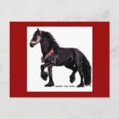 Friesian Dance Briefkaart #5 (Voorkant)