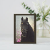 Friesian DIAMOND - Briefkaart (Staand voorkant)