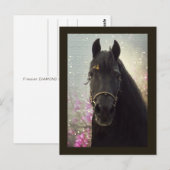 Friesian DIAMOND - Briefkaart (Voorkant / Achterkant)