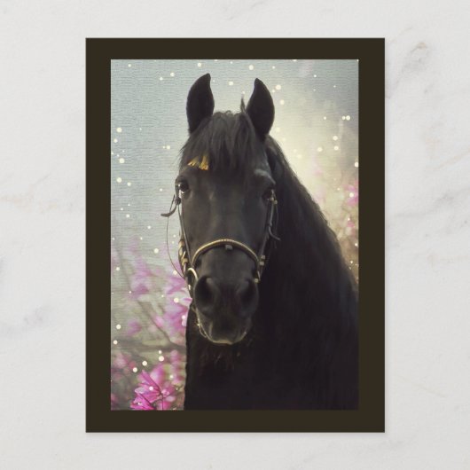 Friesian DIAMOND - Briefkaart (Voorkant)