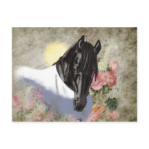 Friesian DIAMOND - Briefkaart