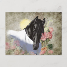 Friesian DIAMOND - Briefkaart