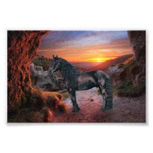 Friesian DIAMOND - Foto afdrukken