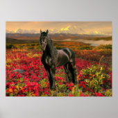 Friesian DIAMOND I - Poster (Voorkant)