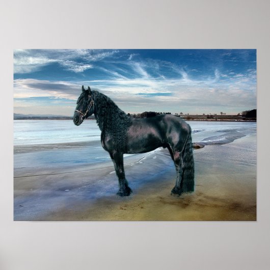 Friesian DIAMOND III - Poster (Voorkant)