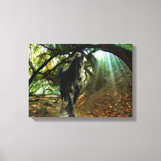 Friesian DIAMOND IV - Gewatteerd Canvas Afdruk (Voorkant)
