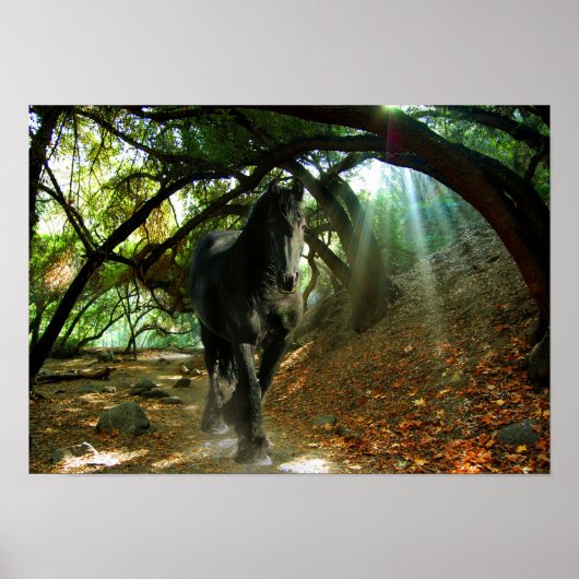 Friesian DIAMOND IV - Poster (Voorkant)