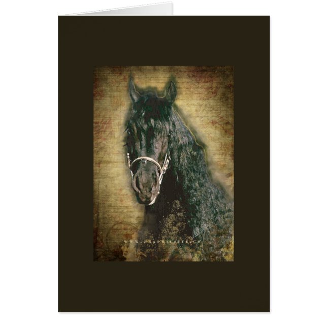 Friesian DIAMOND - Kaart, groet/noot (Voorkant)