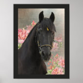 Friesian DIAMOND ~ Portret 3 - Poster (Voorkant)