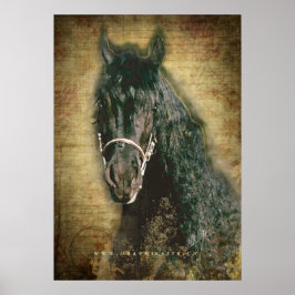 Friesian DIAMOND - Poster