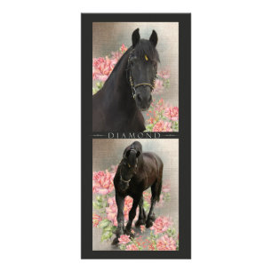 Friesian DIAMOND - Rack/Briefkaart Reclamekaart