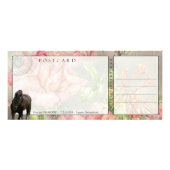 Friesian DIAMOND - Rack/Briefkaart Reclamekaart (Achterkant)