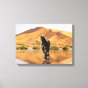 Friesian DIAMOND V - Gewikkeld Canvas Afdruk