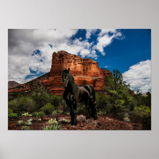 Friesian DIAMOND VI - Poster (Voorkant)