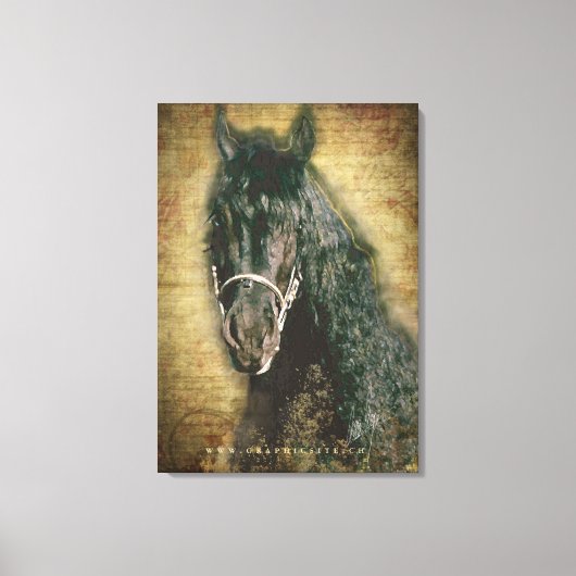 Friesian DIAMOND - Wrapped Canvas (Voorkant)