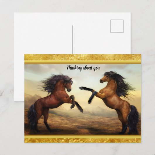 Friesian Draft Horses in een rotsbergdal Briefkaart (Voorkant / Achterkant)