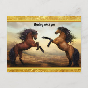 Friesian Draft Horses in een rotsbergdal Briefkaart