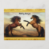 Friesian Draft Horses in een rotsbergdal Briefkaart (Voorkant)