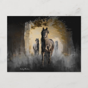 Friesian Drie Briefkaart