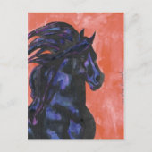 Friesian Fantasy Briefkaart (Voorkant)