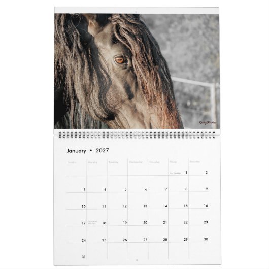 Friesian Feathers 2015 Kalender (Jan 2027)