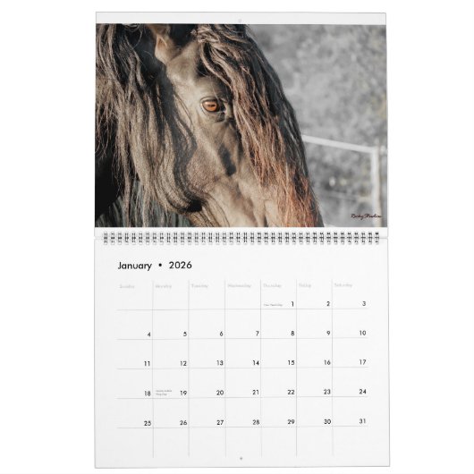 Friesian Feathers 2015 Kalender (Jan 2026)