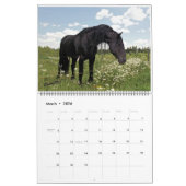 Friesian Feathers 2015 Kalender (Mar 2026)