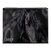 Friesian Feathers 2015 Kalender (Hoes)