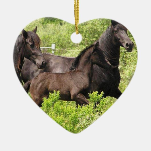 Friesian Filly Ornament (Voorkant)