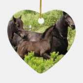 Friesian Filly Ornament (Achterkant)