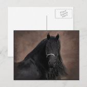 Friesian Flair Briefkaart (Voorkant / Achterkant)