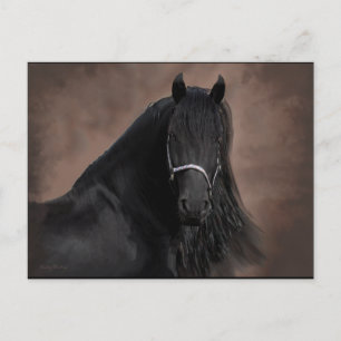 Friesian Flair Briefkaart