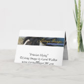 Friesian Flying Horse Wenskaart Kaart (Achterkant)