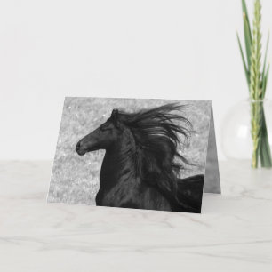 Friesian Flying Horse Wenskaart Kaart