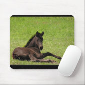 Friesian foal mousepad muismat (Met muis)
