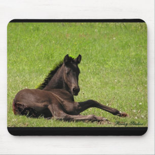 Friesian foal mousepad muismat