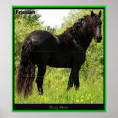 Friesian Foto Print (Voorkant)