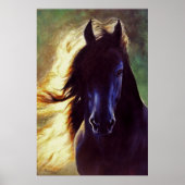 "Friesian Glow" Poster (Voorkant)