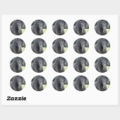 Friesian Hengst Ronde Sticker (Vel)