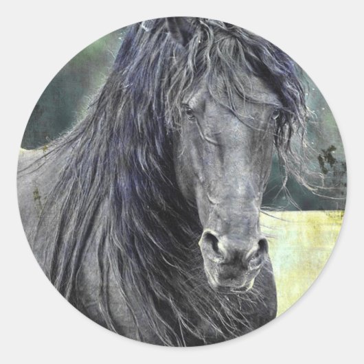 Friesian Hengst Ronde Sticker (Voorkant)